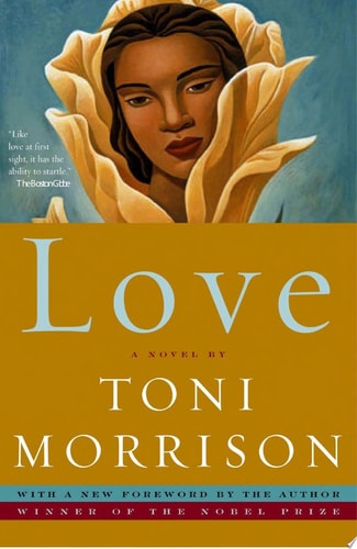 Love A Novel
